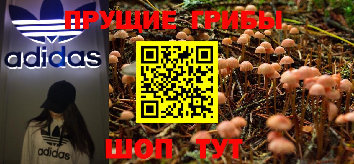 Алапаевск  Псилоцибиновые грибы MAGIC MUSHROOMS  закладка  Вход с VPN 